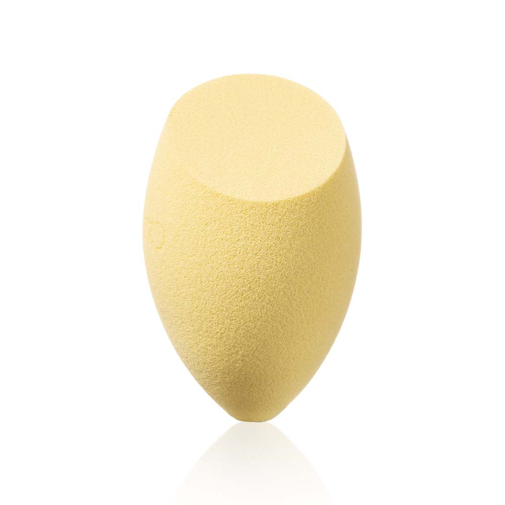 Catkin Makeup Sponge Beauty Blender Set Makeup Applicators